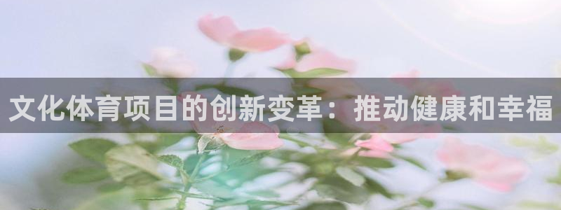 星欧娱乐属于什么档次的公司啊