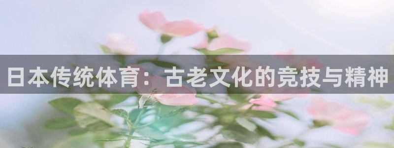 星欧娱乐巴711.112扣费记录查询方法