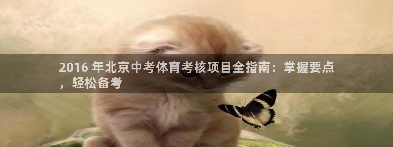 星欧娱乐退款流程详解