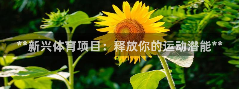 星欧娱乐公司电话号码查询