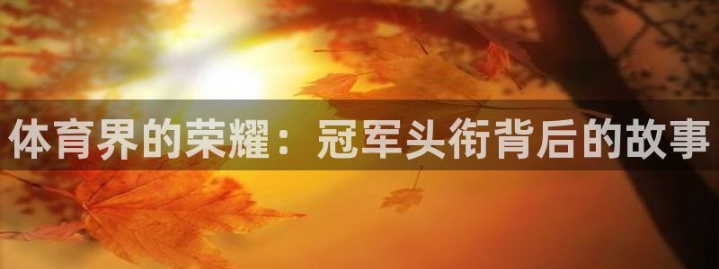 星欧娱乐退款流程详解