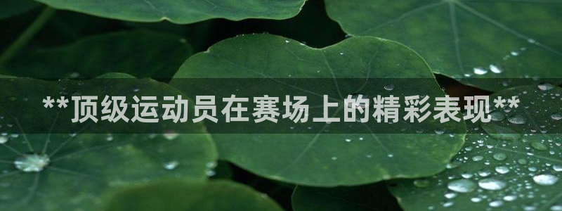 星欧娱乐平台怎么样可靠吗