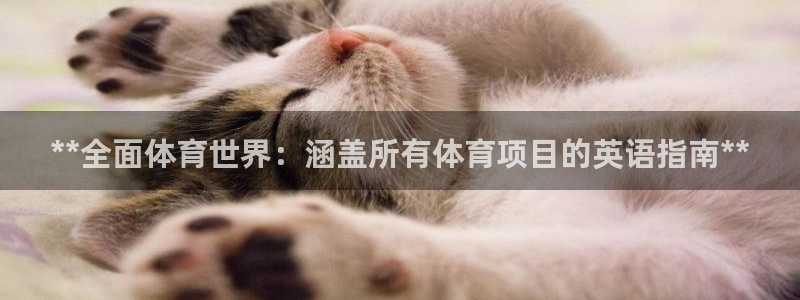 星欧娱乐扣款流程详解