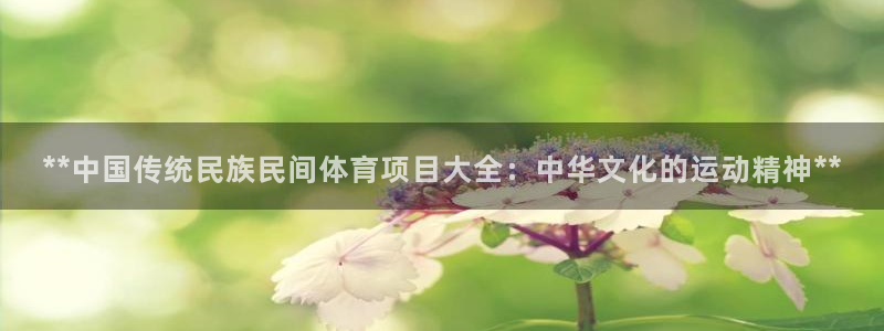 星欧娱乐总代.直开.中国