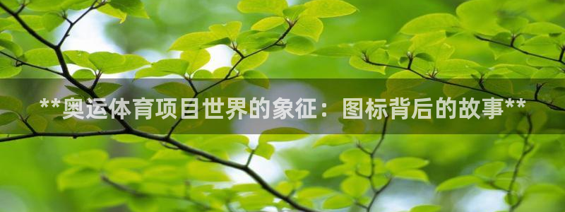 星欧娱乐扣钱步骤详解