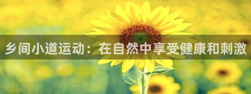 星欧娱乐扣款流程详解视频下载
