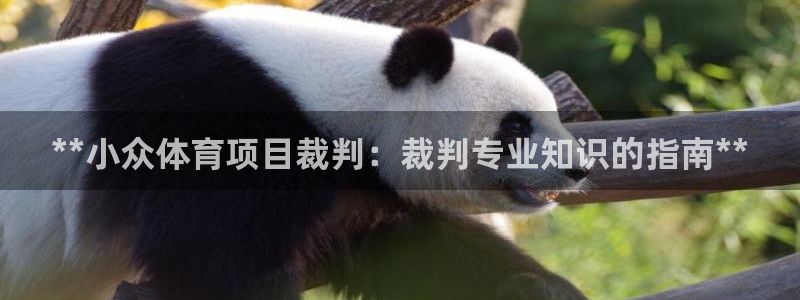 星欧娱乐平台怎么样可靠吗知乎