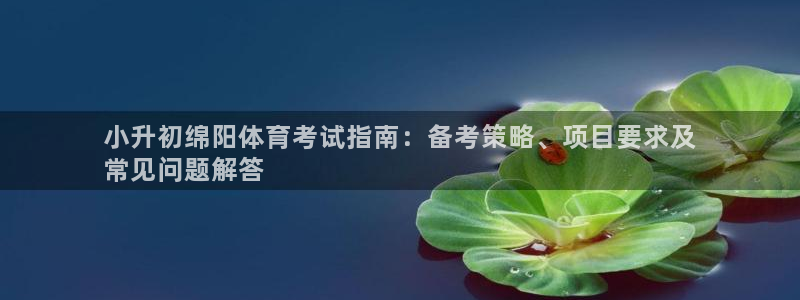 星欧娱乐最建议买的三个产品