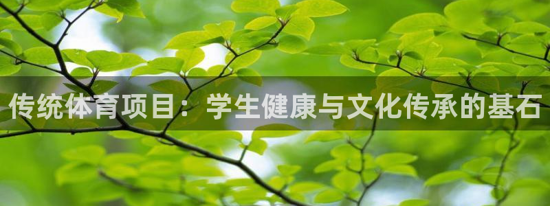 星欧娱乐的官方版本更新内容