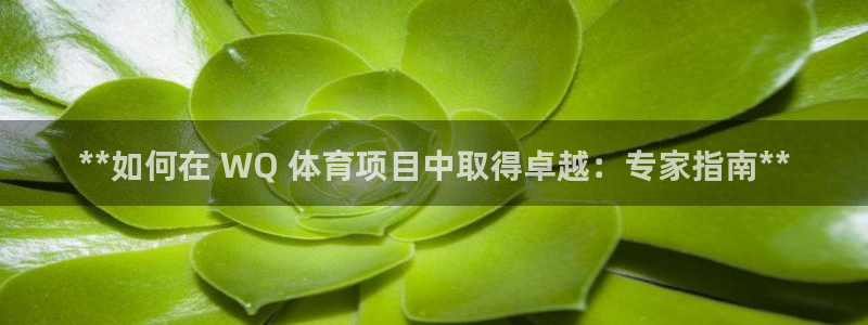 星欧娱乐公司电话号码