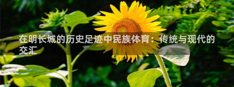 星欧娱乐扣款流程详解图片
