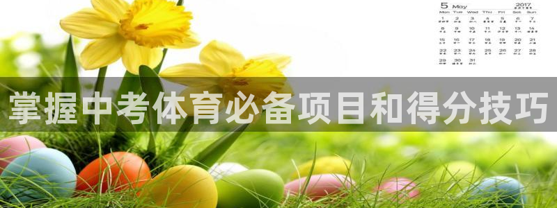 星欧娱乐挂机教程下载