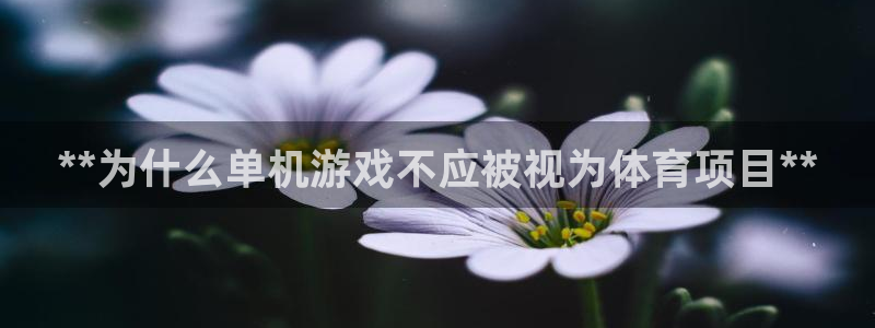 星欧娱乐公司创始人背景故事介绍
