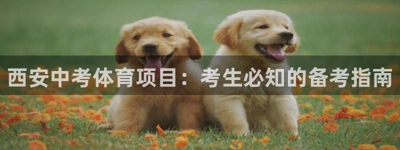 星欧娱乐属于什么档次的公司名称