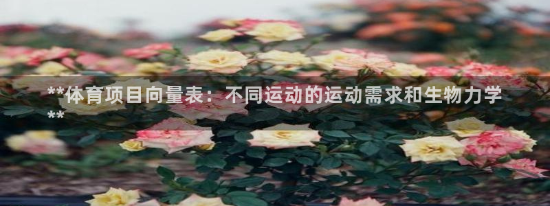 星澳娱乐公司