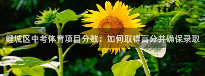 星欧娱乐是正规平台吗可靠吗