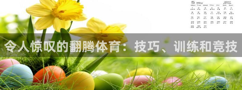 星欧娱乐官网