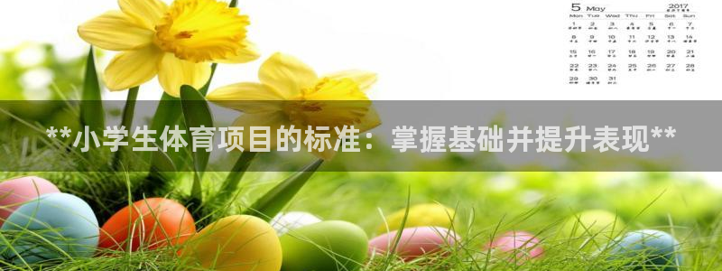 星欧娱乐属于什么档次的软件公司