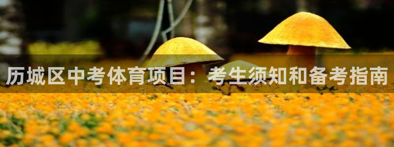 星欧娱乐挂机赚钱是真的吗