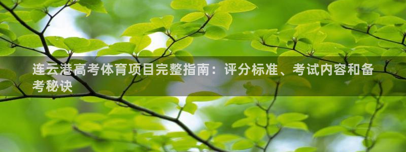 星欧娱乐平台怎么样可靠吗