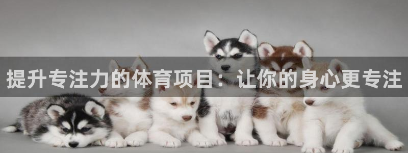 星娱乐online