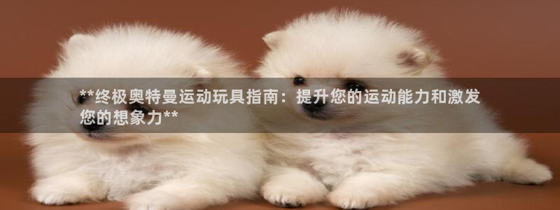 星欧娱乐属于什么档次的公司名称