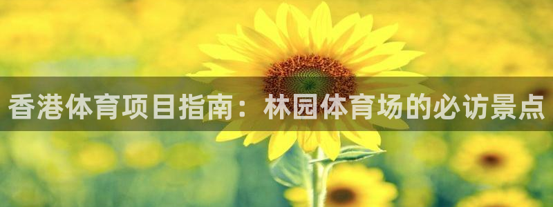 星欧娱乐扣款时间查询方法是什么呢