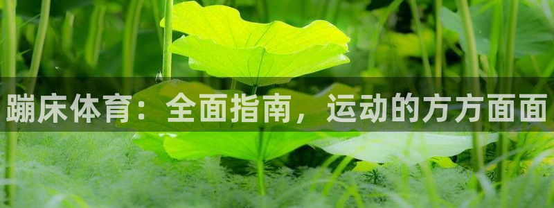 星欧娱乐app最新版本更新内容下载