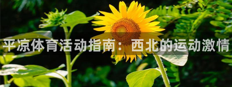 星欧娱乐公司创始人背景故事是什么