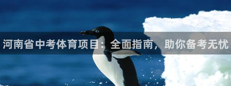 星欧娱乐工711.11是正规的吗