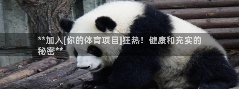 星欧娱乐公司简介