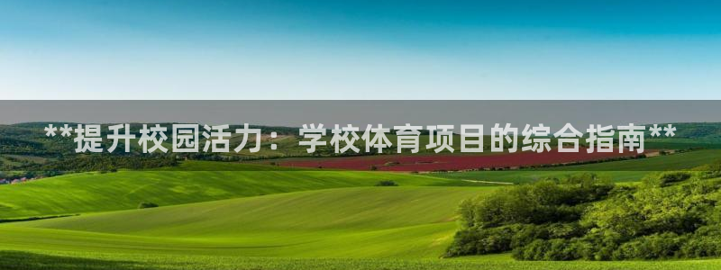 星欧娱乐属于什么档次的软件公司