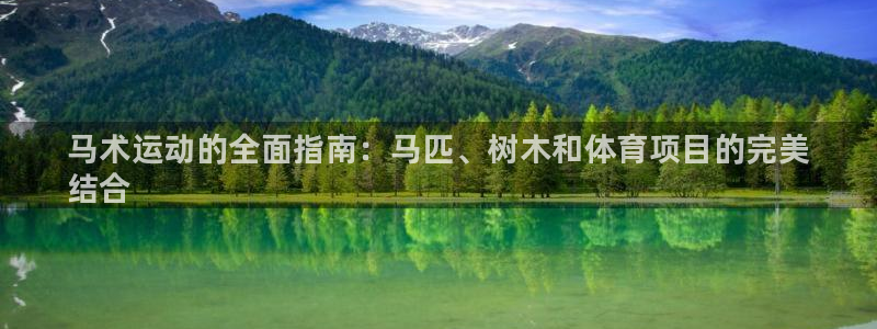 星欧娱乐平台怎么样可靠吗知乎