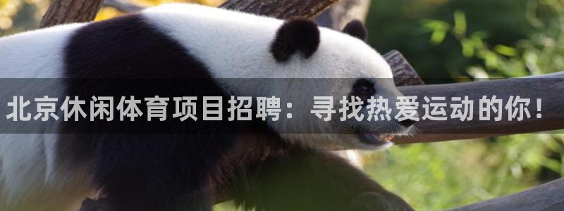 星欧娱乐下载最新版本更新内容