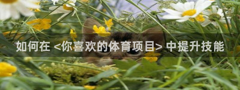 星游娱乐下载地址