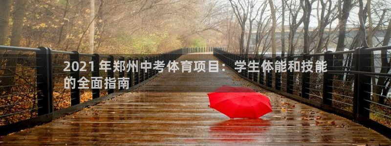 星欧娱乐属于什么档次的软件公司