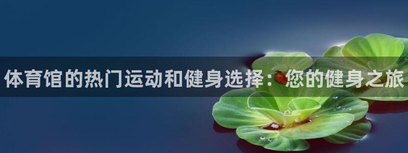 星欧娱乐扣款时间查询方法