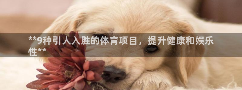 星欧娱乐挂机赚钱软件