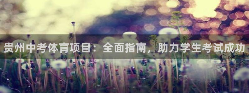 星欧娱乐是什么品牌