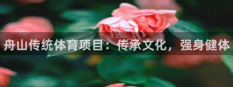 星欧娱乐联游戏评测