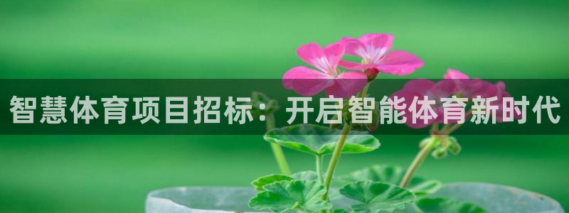 星欧娱乐公司创始人背景故事简介